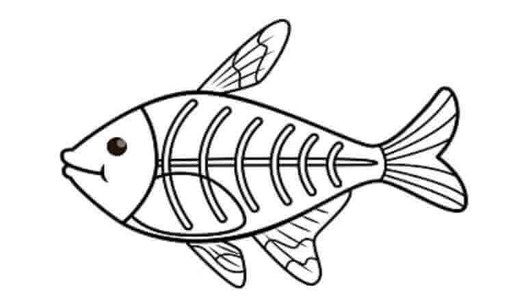 Fish coloring pages kids coloring pages