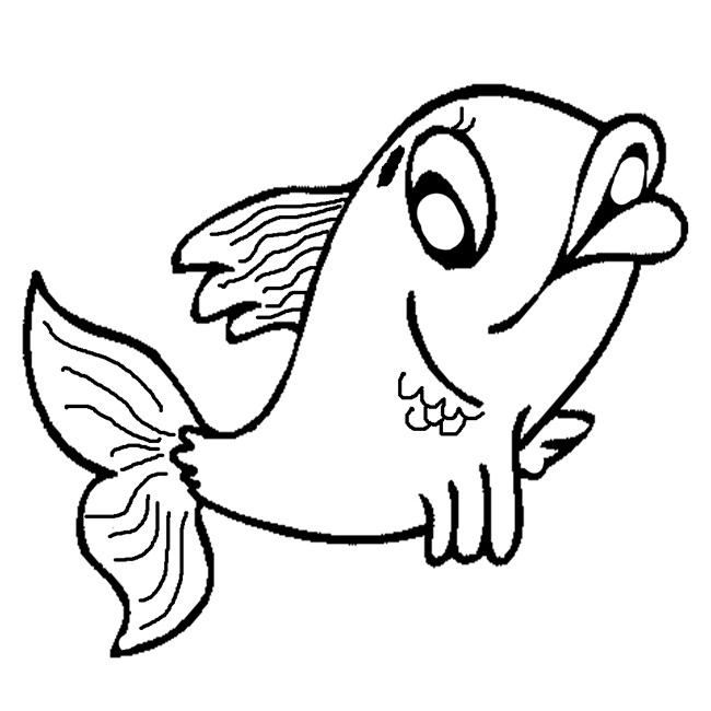 Fish s