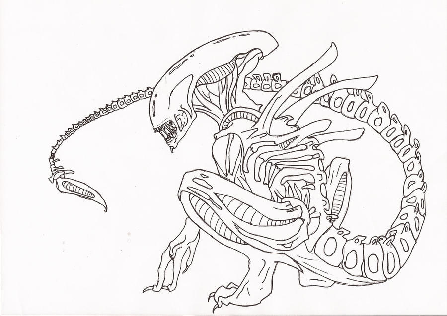Xenomorph warrior dome by freddygirl on