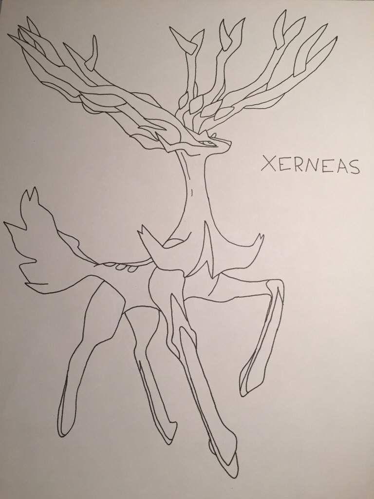 Xerneas drawing âï pokãmon amino
