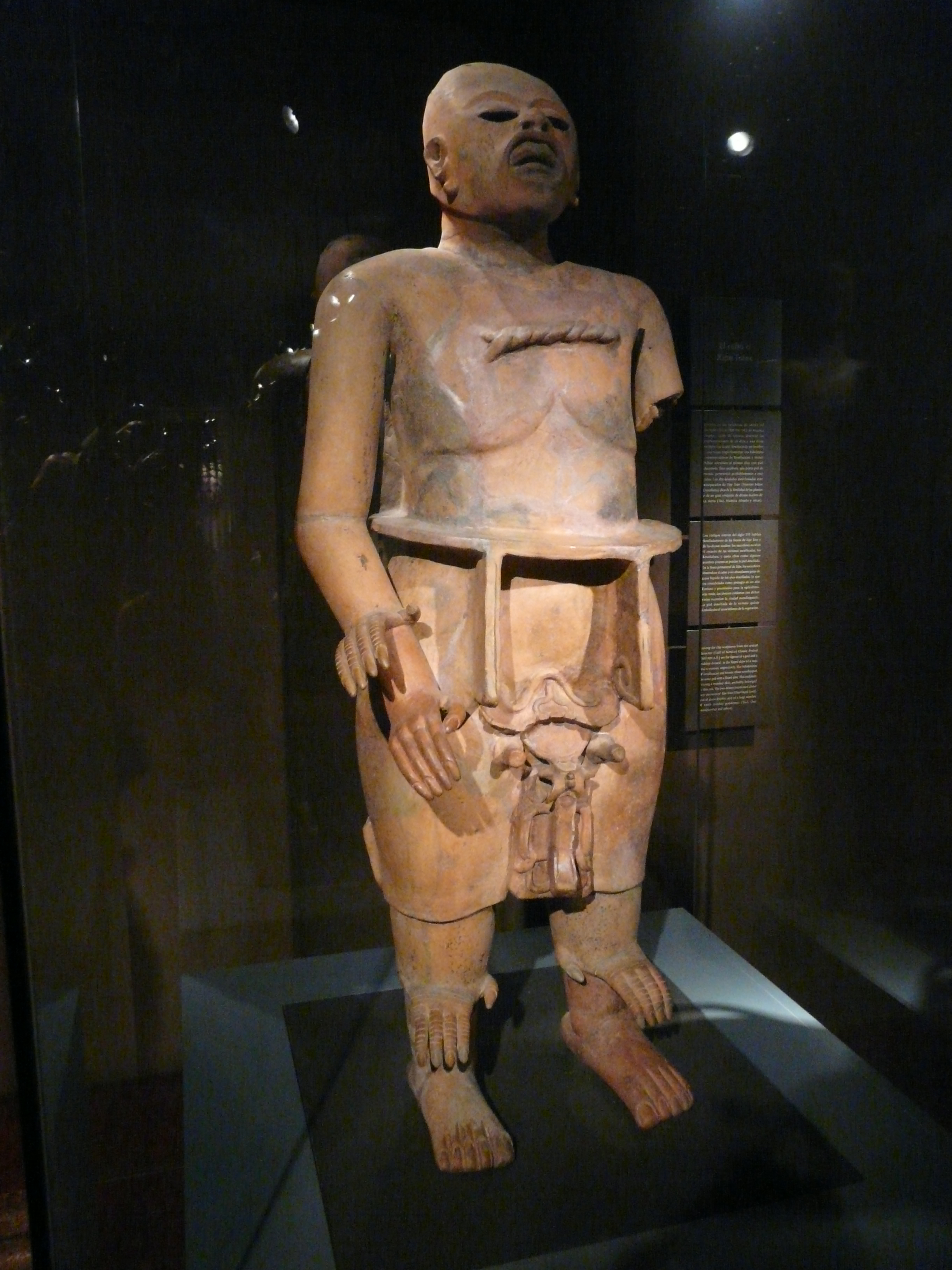 Filexipe totec from chilean museum of pre