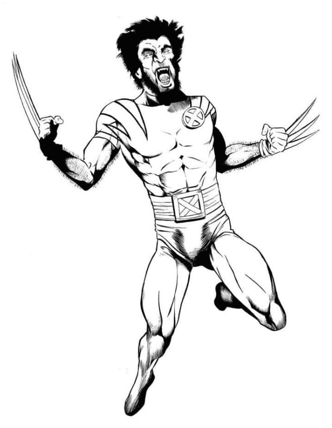 Wolverine x