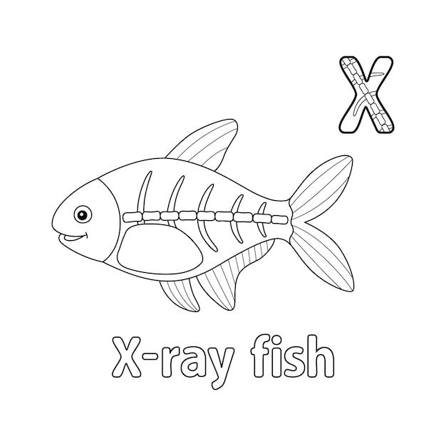 Premium vector xray fish alphabet abc coloring page x
