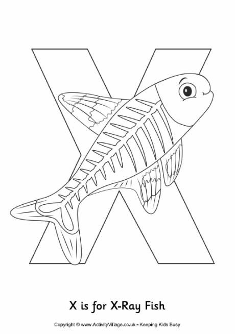 X is for xray fish louring page letter a crafts fish loring page abc loring pages