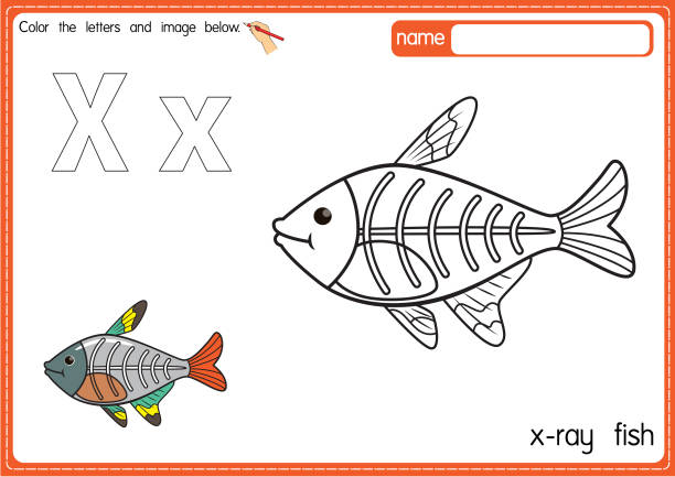 Cartoon of a x ray fish coloring page stock illustrations royalty