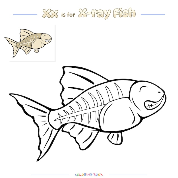 Premium vector coloring page xray fish cartoon