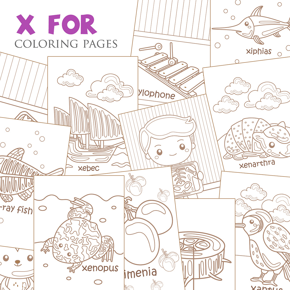 Alphabet x for vocabulary school letter reading writing font study learning student toodler kids xylem ximenia