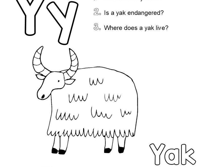 Y