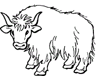 Letter y animals coloring pages and printable activities