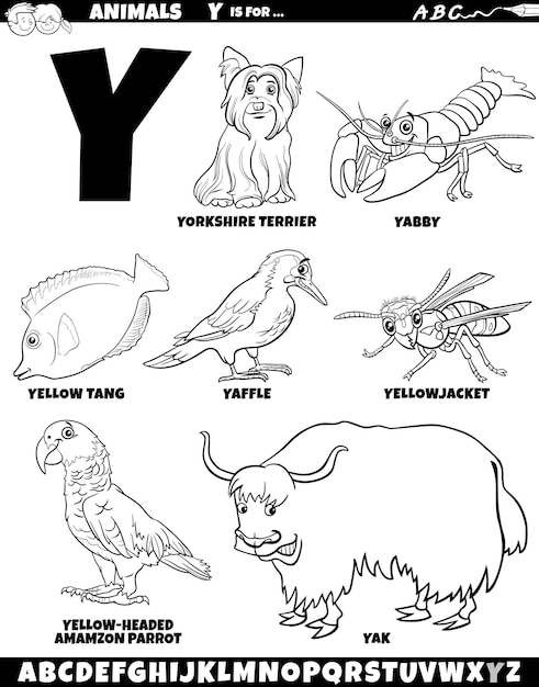 Premium vector cartoon illustration of animal characters set for letter y coloring page