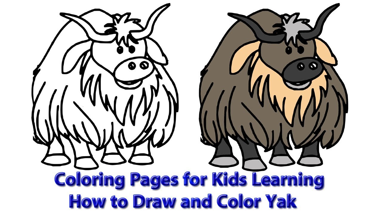 Coloring pages for kids learning how to draw and color yak