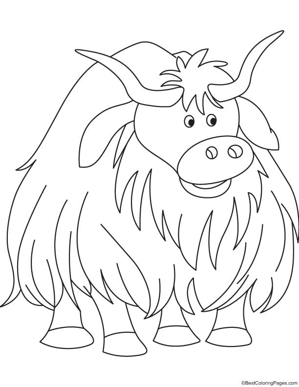 Huge yak coloring page download free huge yak coloring page for kids best coloring pages