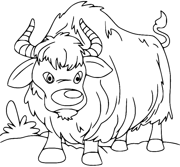 Yak coloring pages printable for free download