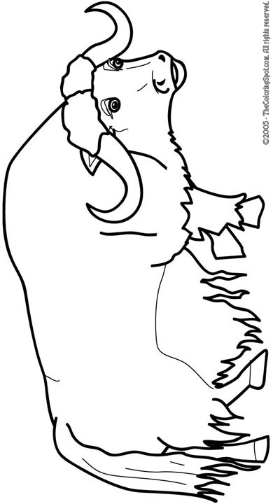 Yak coloring page audio stories for kids free coloring pages colouring printables