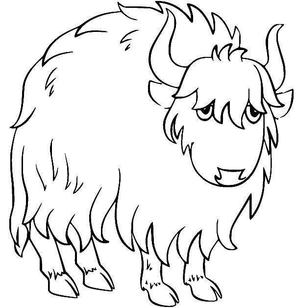 Yak coloring pages printable for free download