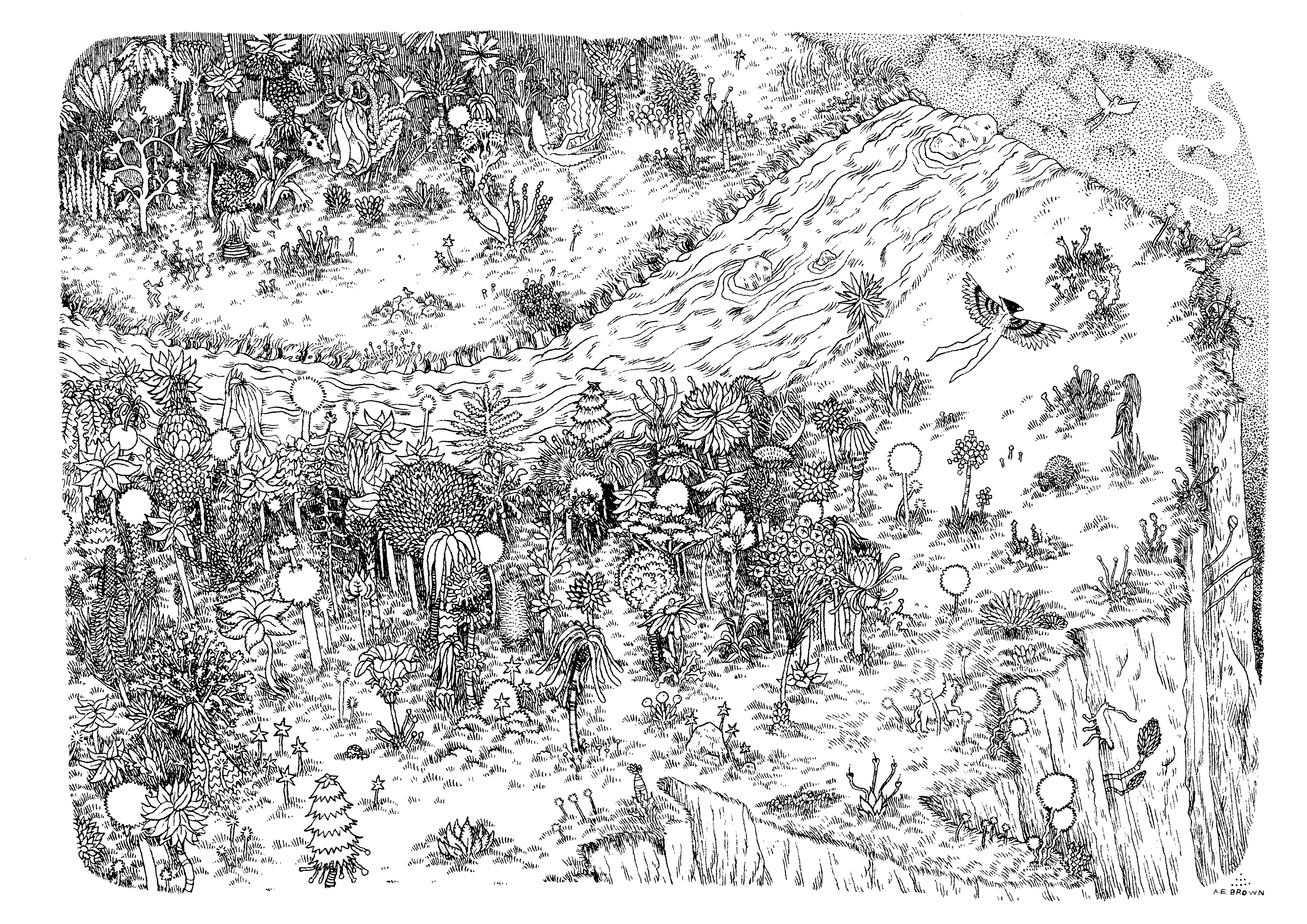 The quarantine coloring book