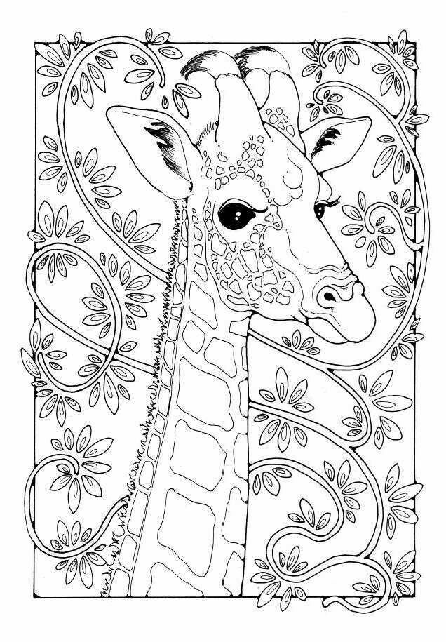 Pin by donna haskin on patterns templatescoloring pages giraffe coloring pages animal coloring pages cute coloring pages