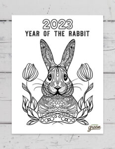 Year of the rabbit â colouring pages