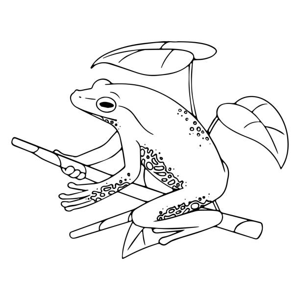 Cartoon of the poison arrow frog stock illustrations royalty