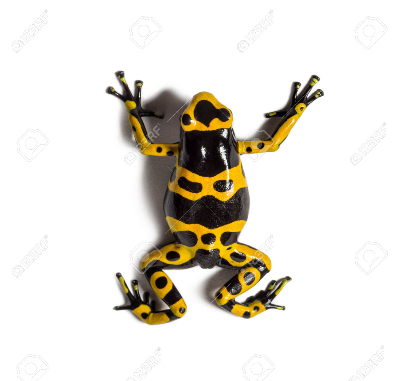 Top view of a yellow