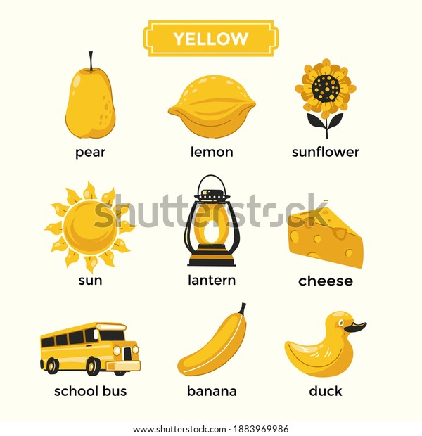 Flashcards learning yellow color vocabulary set stock vector royalty free