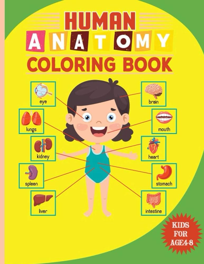 Human anatomy coloring book for kids kindergarten anatomy human bone flashcards coloring book for toddlers study guide coloring workbook great gift for boys girls by press publishing mcken patricia