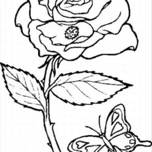 Rose coloring pages printable for free download