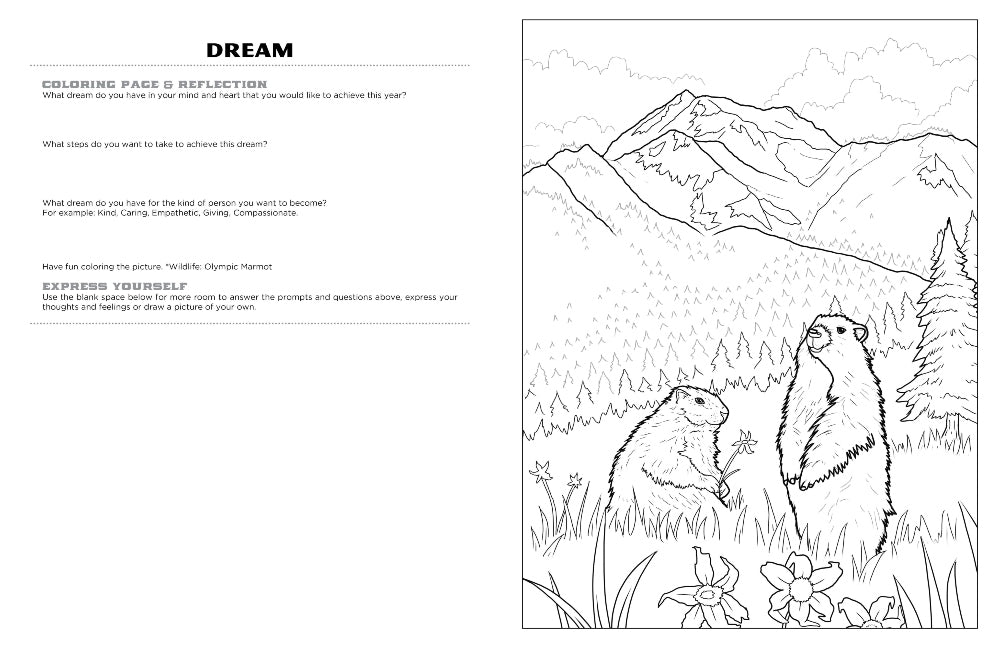 Discover olympic expressive art coloring activity book â discovery art for youth