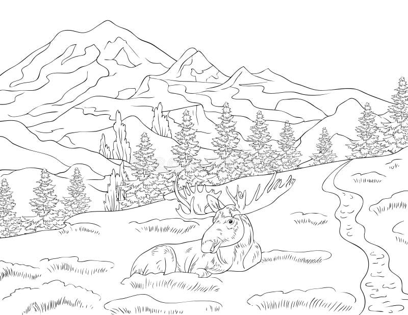 Adult coloring bookpage a cute nature landscape image for relaxing stock vector