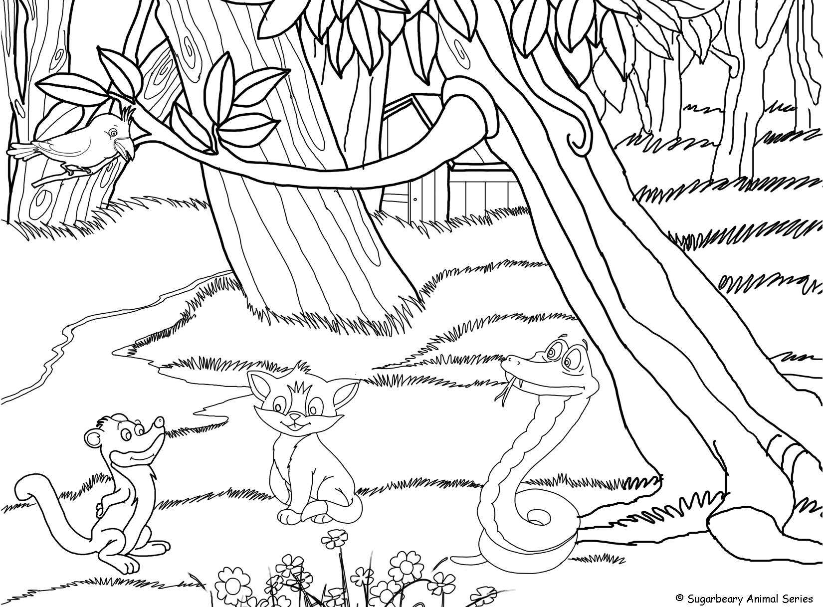 Coloring pages