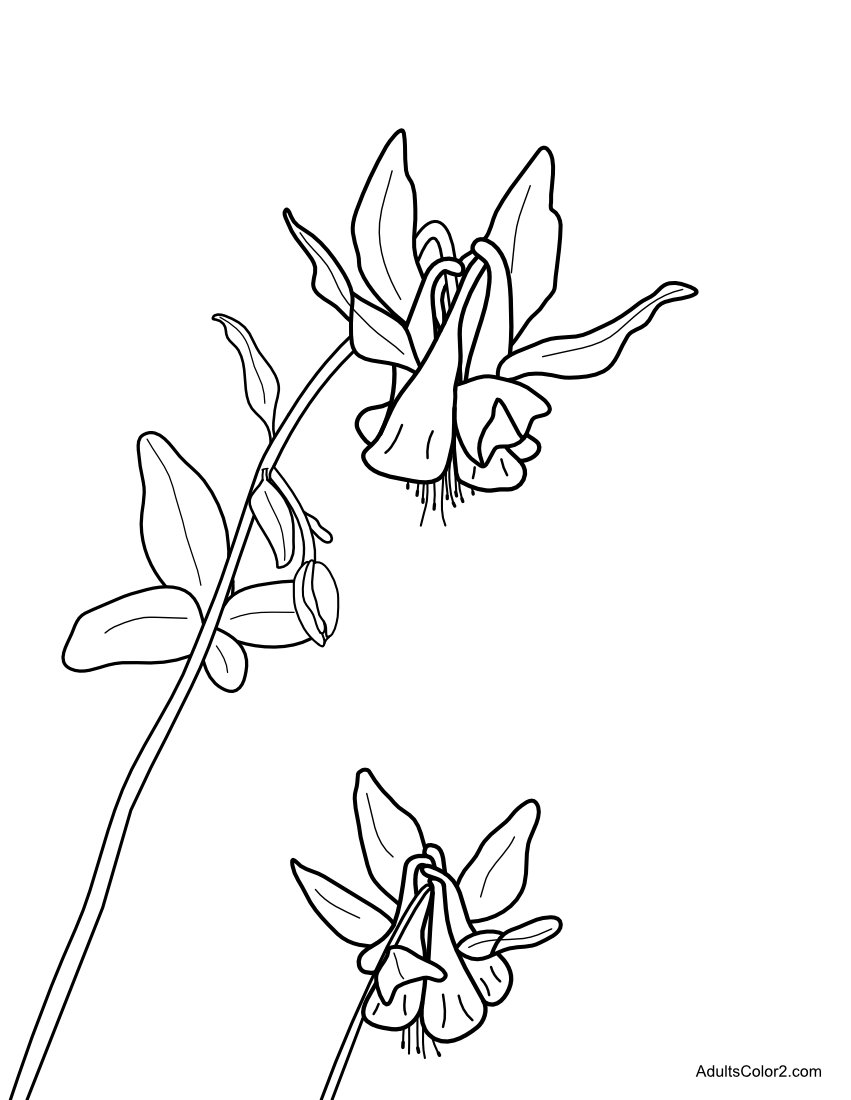 Spring flowers coloring page beautiful blossoms