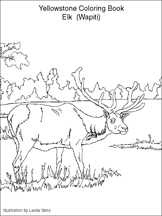 Kids corner coloring books coloring pages mandala coloring pages