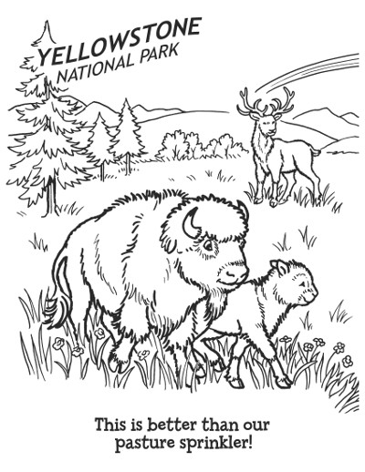 Bitty tells all nancy cannot draw
