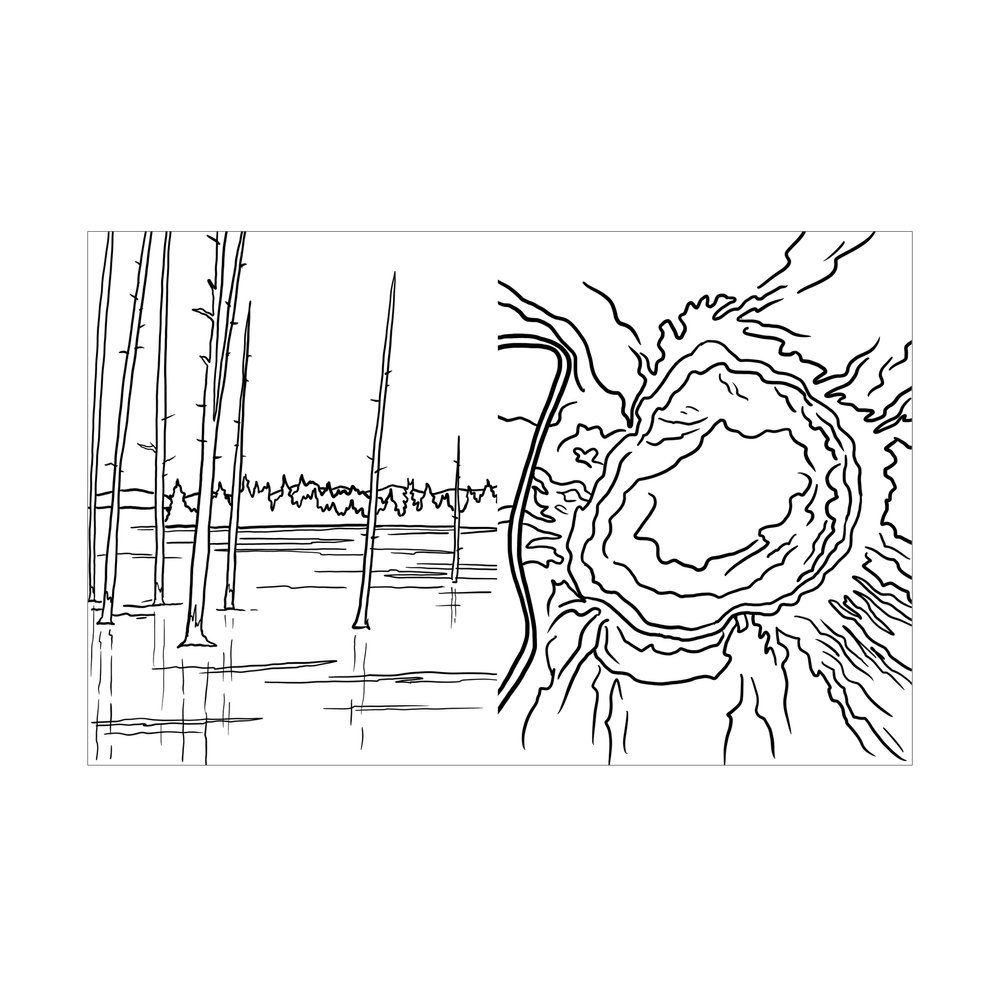Yellowstone national park coloring book digital version â corvidae drawings designs
