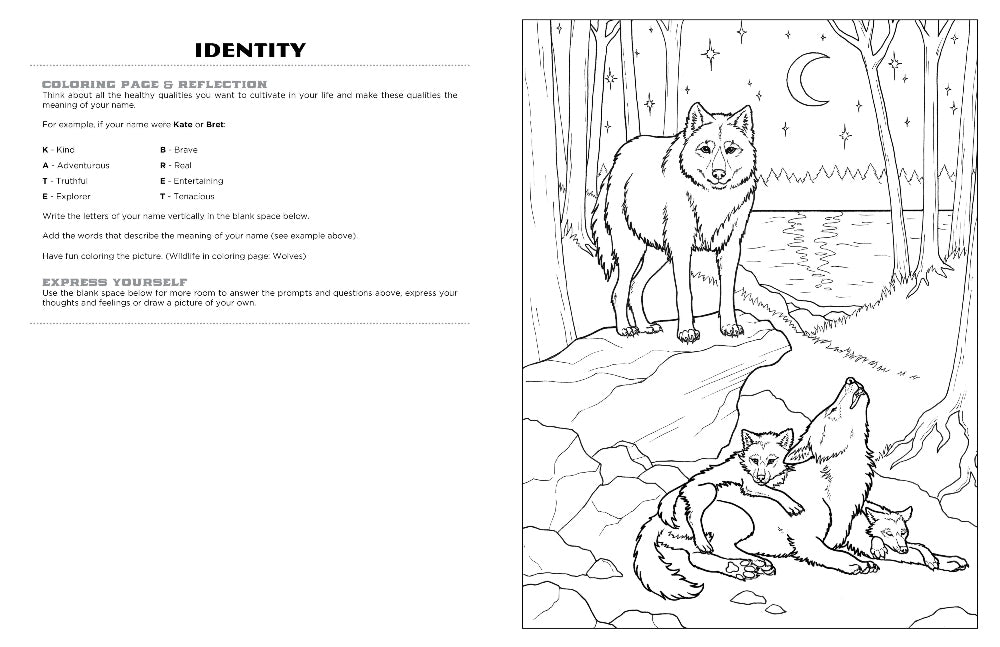 Discover yellowstone expressive art coloring activity book â discovery art for youth