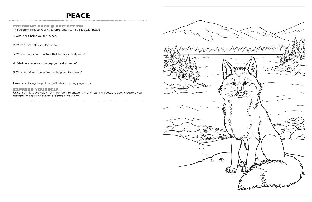 Discover yellowstone expressive art coloring activity book â discovery art for youth