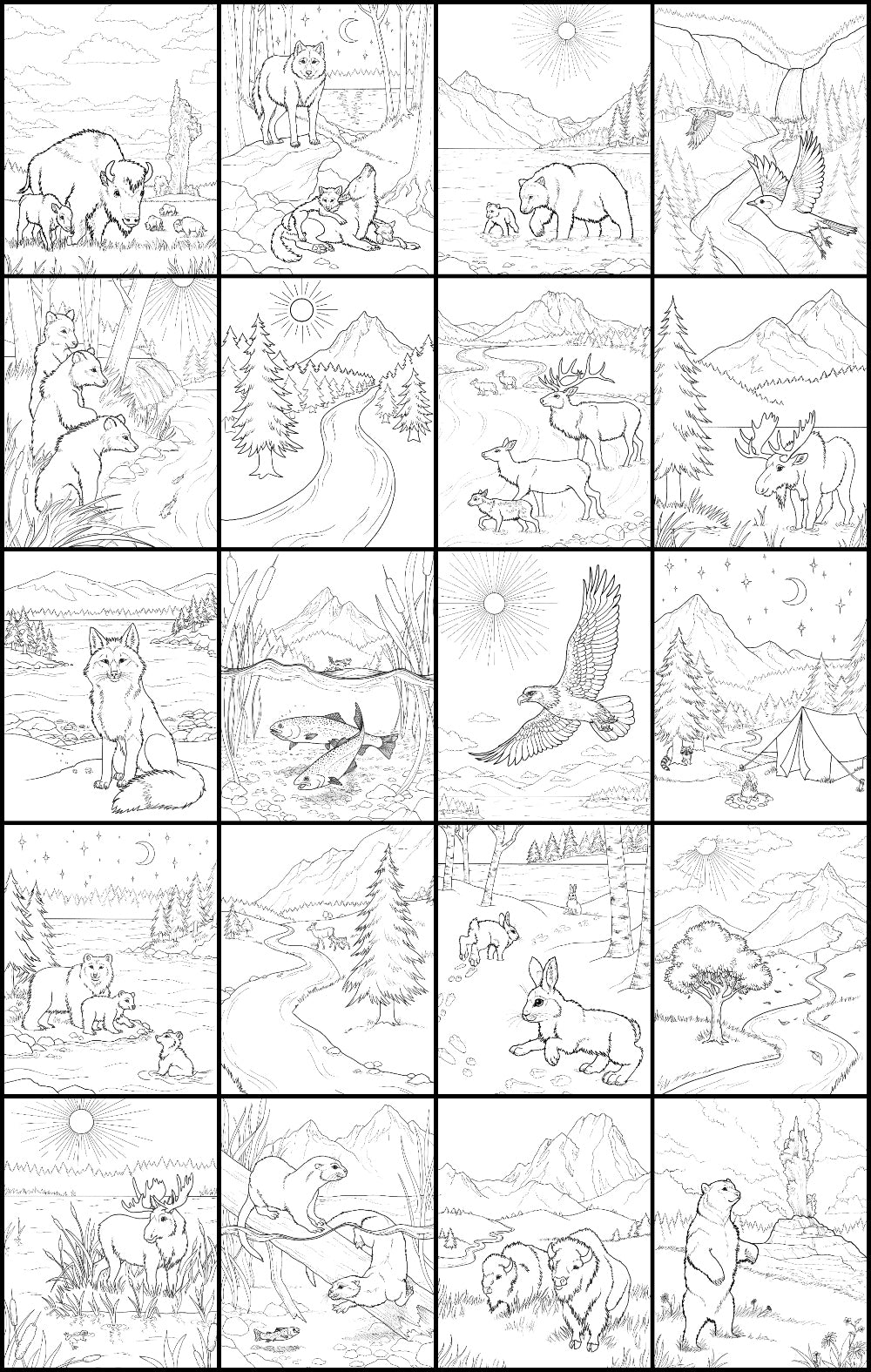 Discover yellowstone expressive art coloring activity book â discovery art for youth