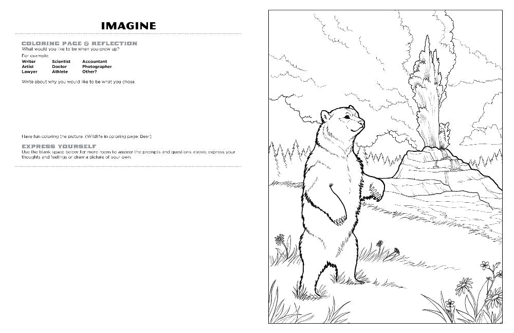 Discover yellowstone expressive art coloring activity book â discovery art for youth