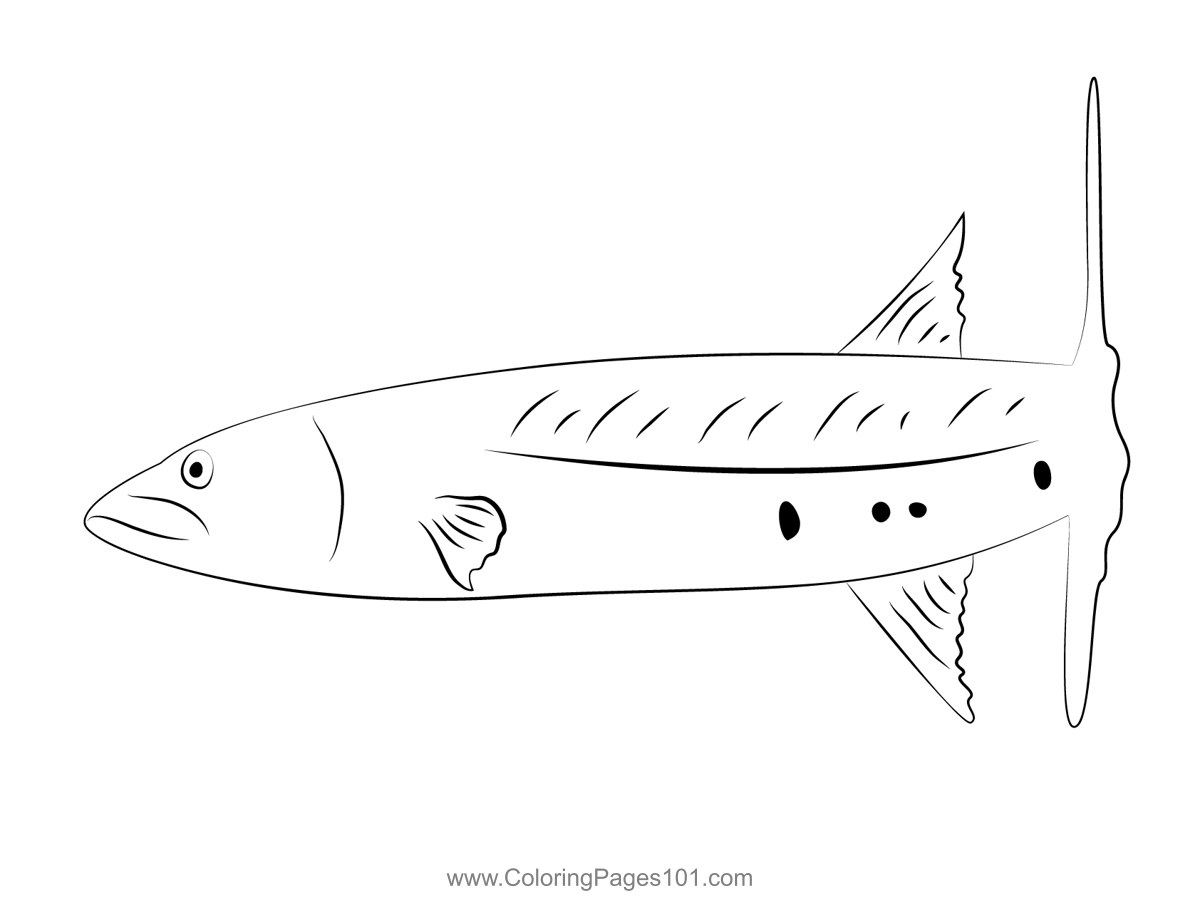 Barracuda coloring page