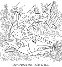 Barracuda fish royalty