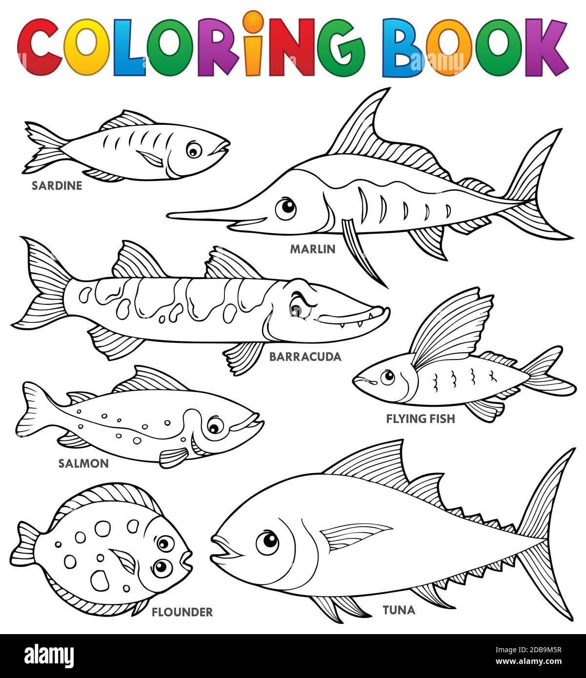 Barracuda cut out stock images pictures