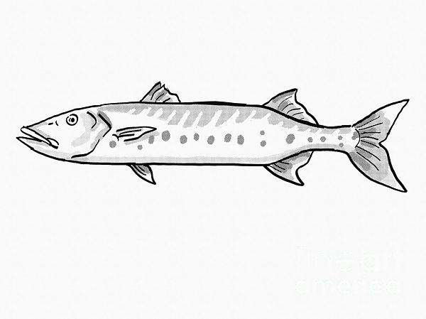 Great barracuda reef and wreck fish florida and gulf of mexico cartoon retro drawing bath towel by aloysius patrimonio