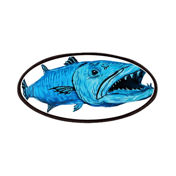 Barracuda patch