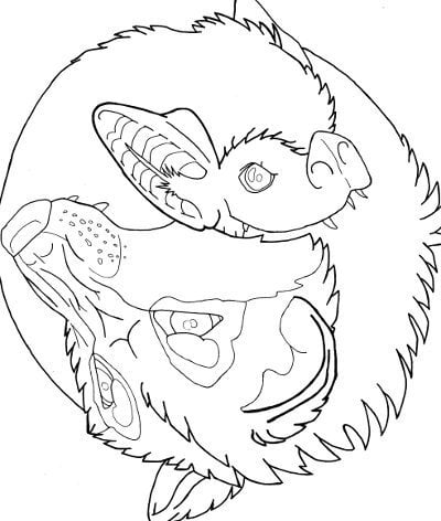 Wolf and bat yin yang coloring page