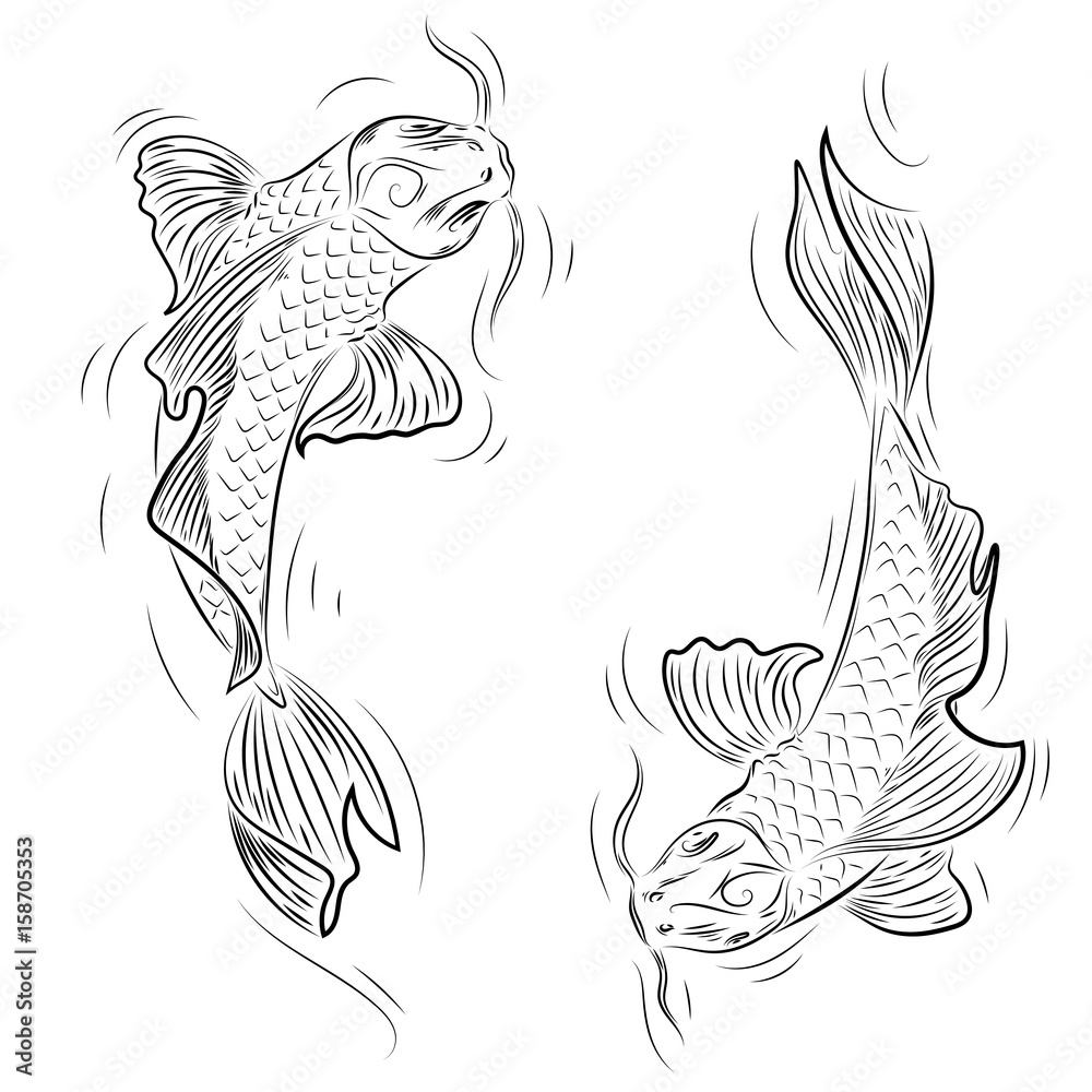 Hand drawn line art of koi carp coloring page yin yang vector