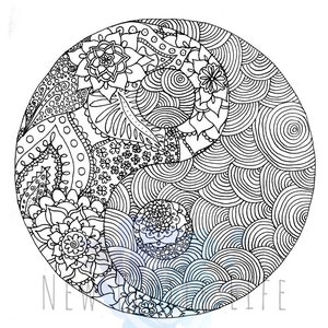 Yin yang coloring