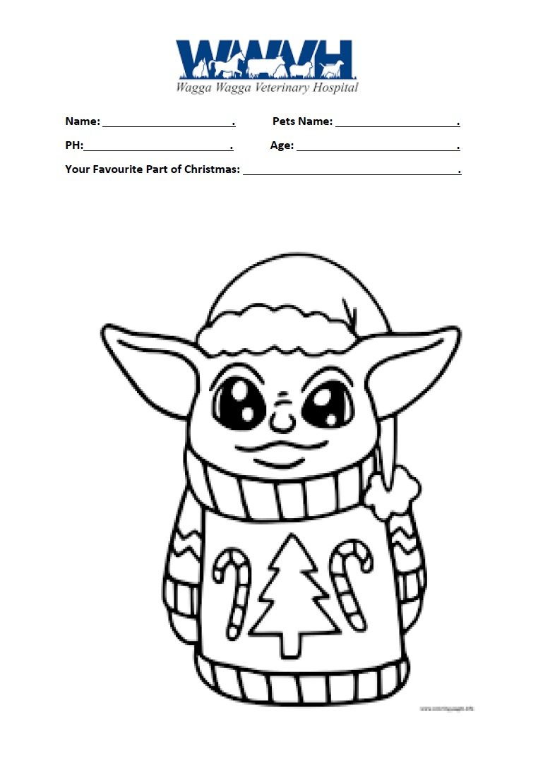 Christmas colouring petition ð â wagga vet