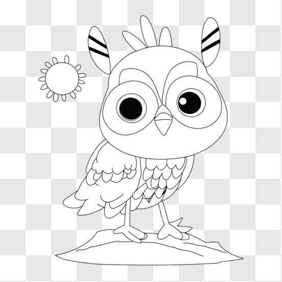 Download black and white owl coloring page png online
