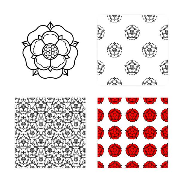 Lancaster rose stock photos pictures royalty