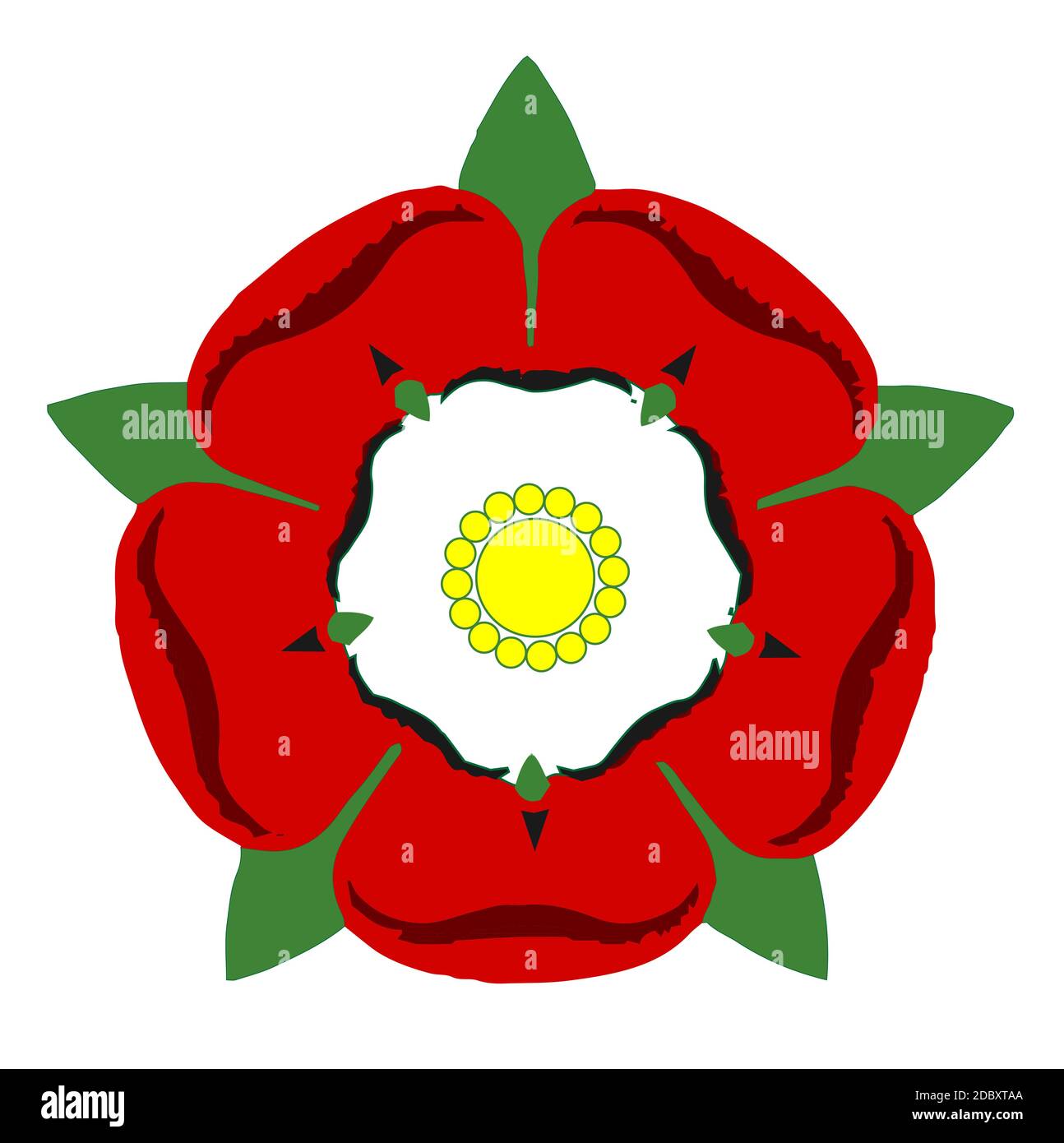 York and lancaster rose hi